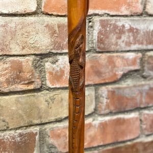 Vintage Crocodile Cane - Image 4