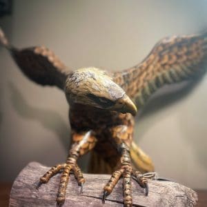 Vintage Carved Wooden Eagle 485.00 CND