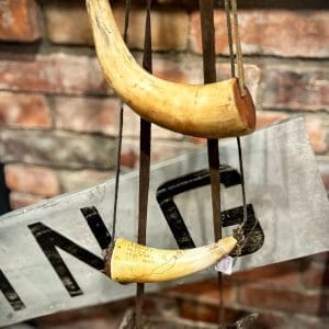 Various Antique Powder Horns