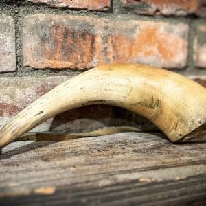 Black Powder Horn #2 $165